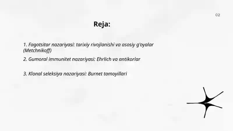 Immunitet (teoriyadagi) g'oyalari 2