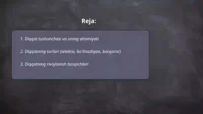 Diqqat mavzusi 2
