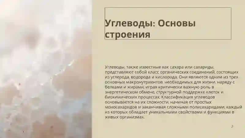 Углеводы: Основы строения 2