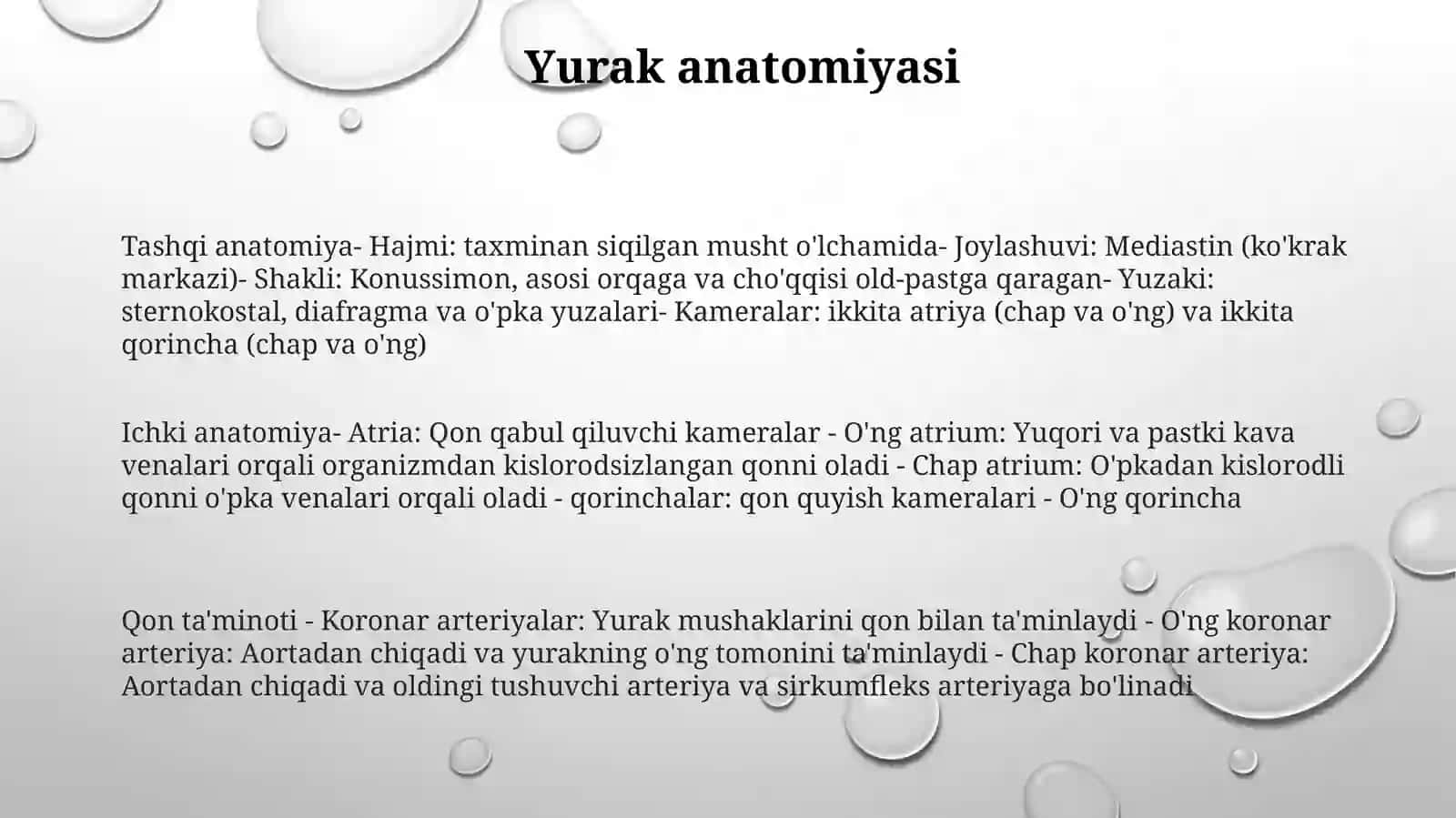 Yurak 2