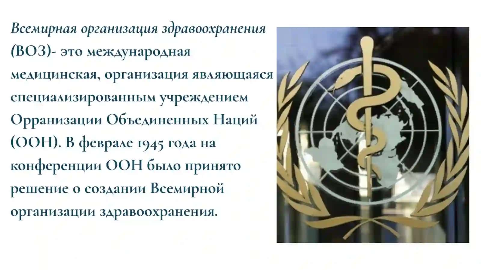 Всемирная организация здравоохранения 2