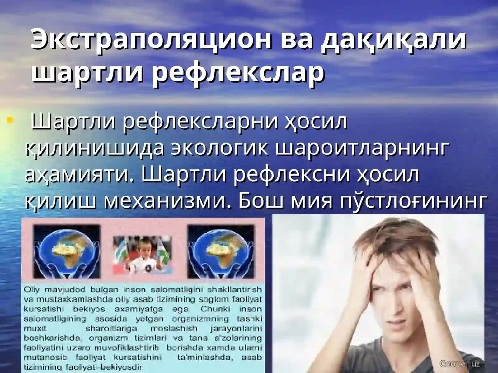 Олий асаб фаолияти физиологияси 2