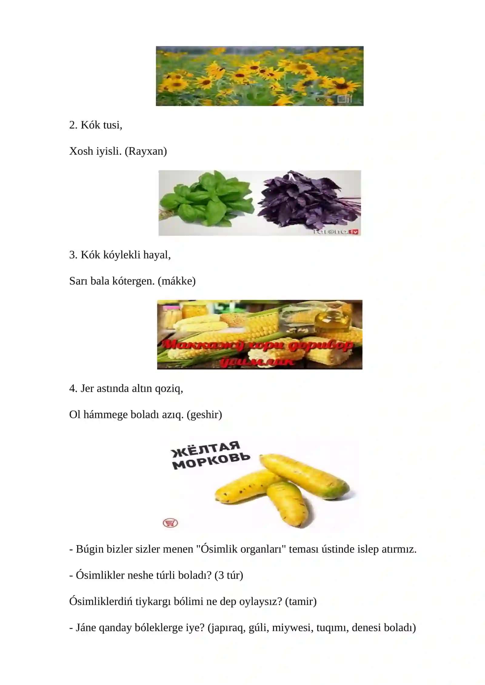 Ósimliklerdıń generativ organları(sabaq islenbe) 2