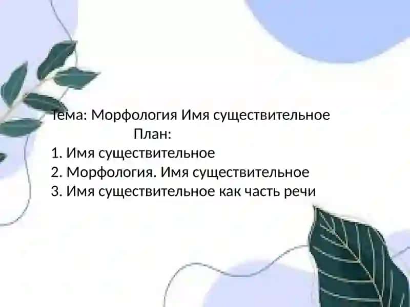 Имя существительное. Морфология 2