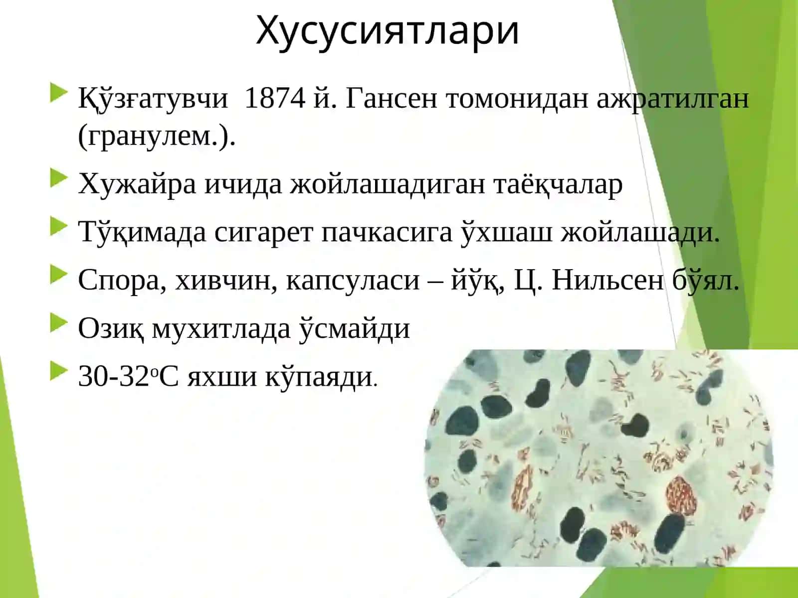 Moxoвkaсалигиқўзгатувчиси(Mycоbacterium leprae Hansen) 2
