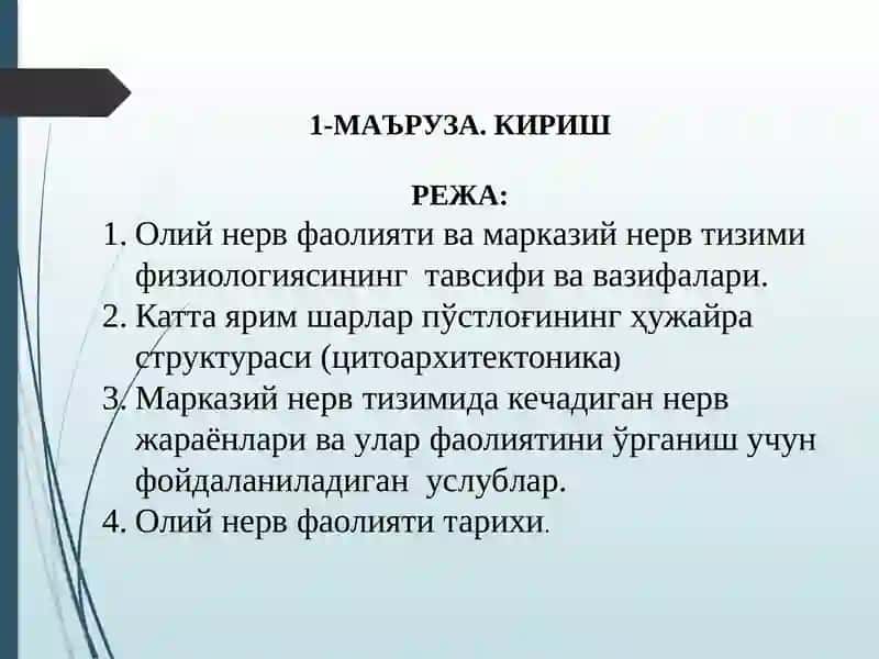 ОЛИЙ NERV SISTEMASI HAQIDA TUSHUNCHA 2