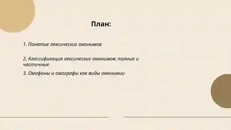 Лексичиские омонимы 2