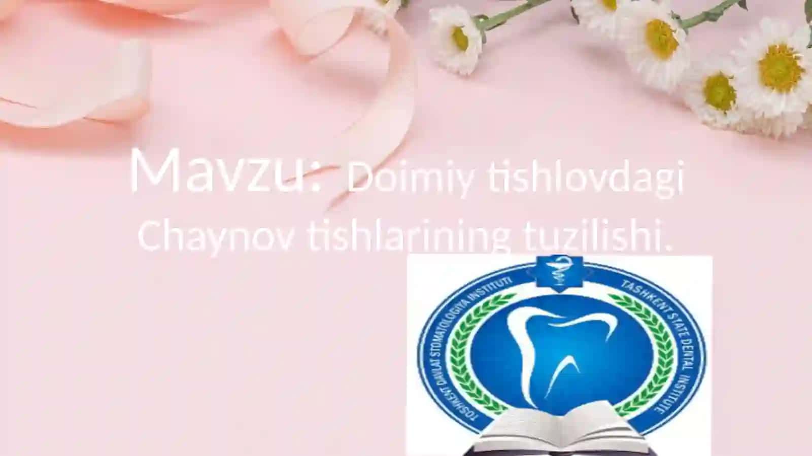 Yuqori jag`ning birinchi premolari 2