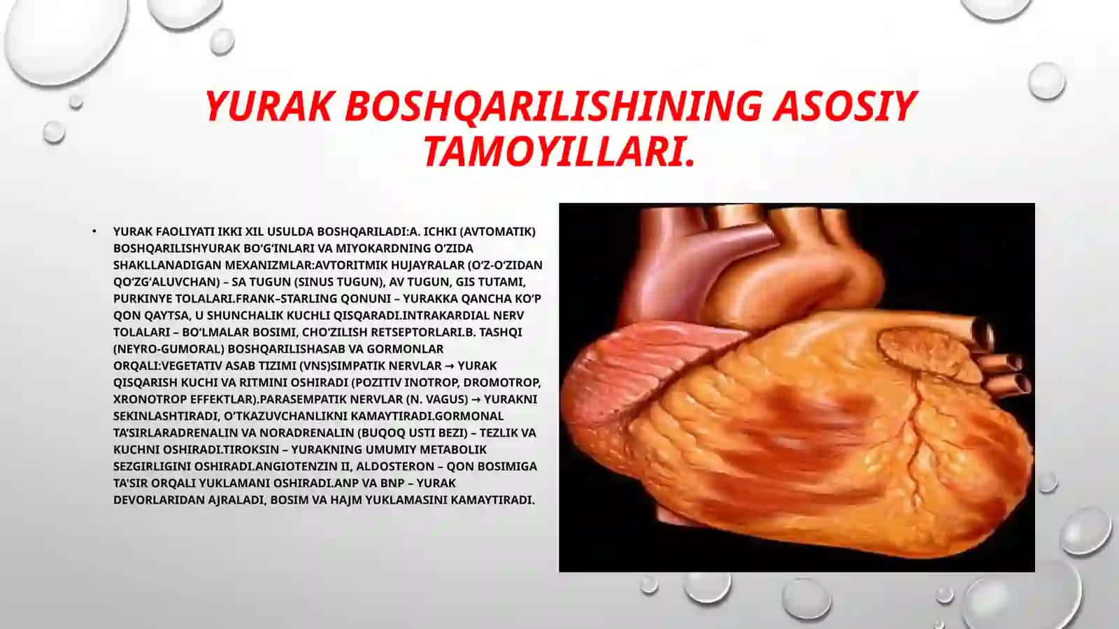 Normal va patologik fiziologiya 2