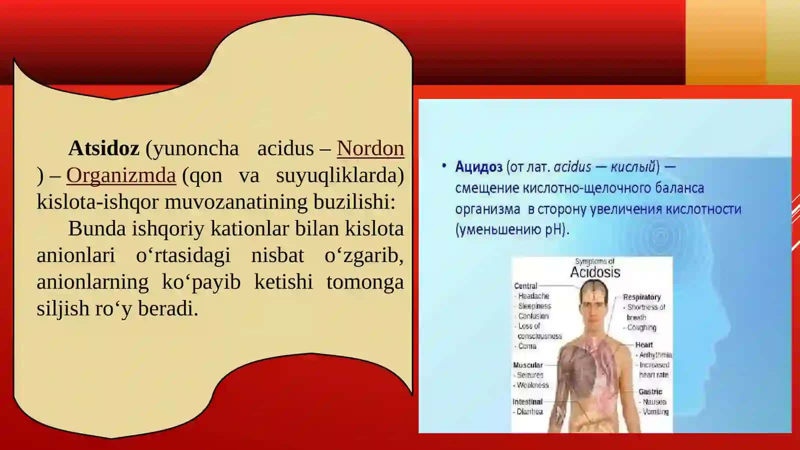 Atsidoz va alkaloz ko’rinishlari 2