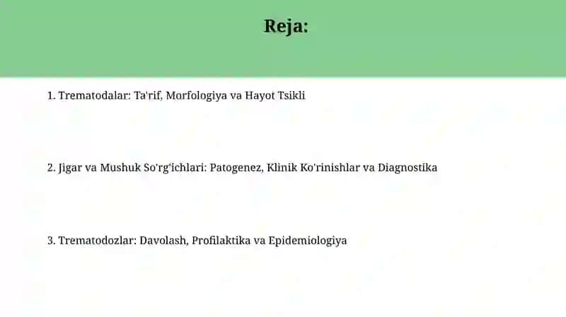 Trematodalar: Ta'rif, Morfologiya va Hayot Tsikli 2