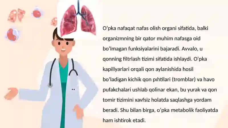 O'pkaning nafasga oid bo'lmagan funksiyalari. Sun'iy nafas 2