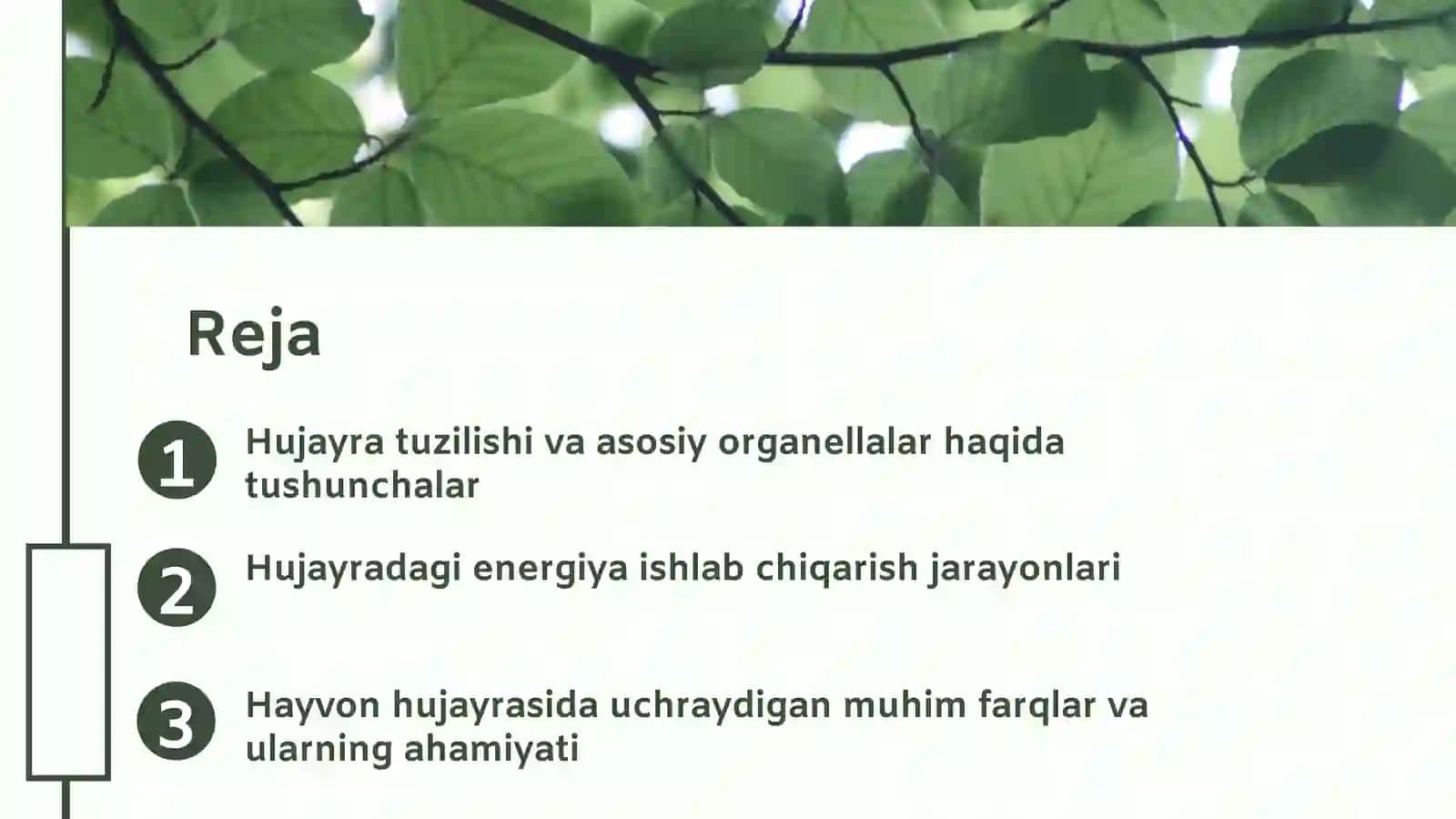 Hujayra tuzilishi 2