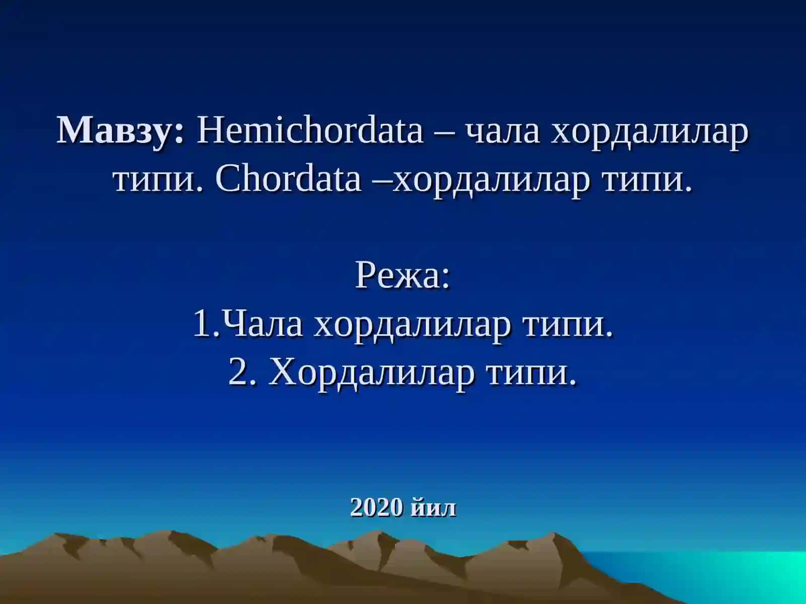 Чала хордалилар типи.Hemichordata 2