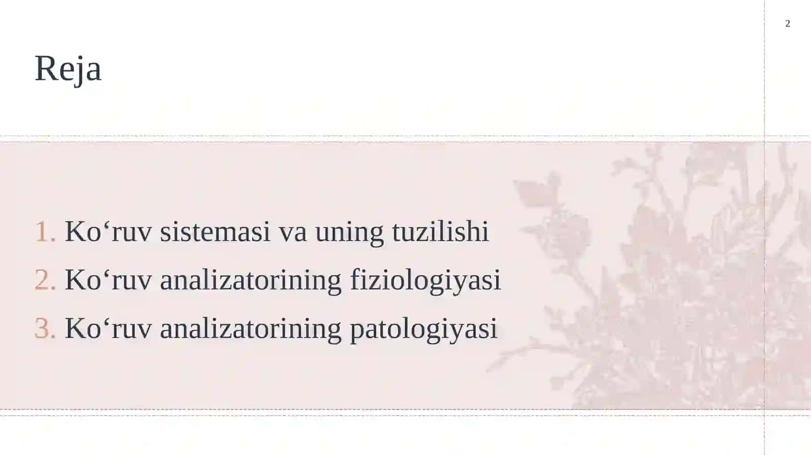 Ko‘ruv sistemasi.Ko‘ruv analizatorining patologiyasi 2