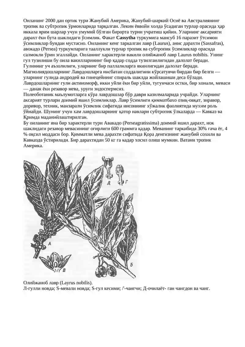 Магнолиядошлар ва лаврдошлар оиласи 2