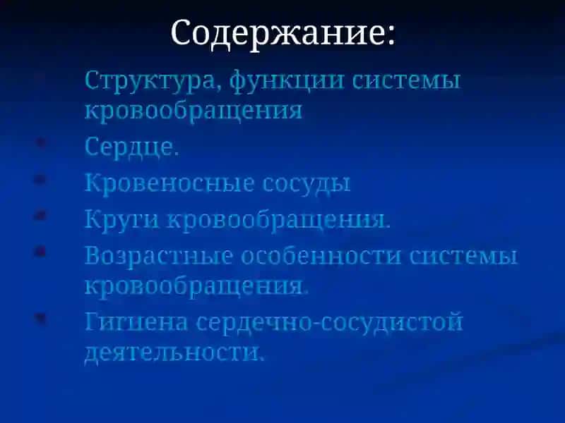 Система кровообращения 2