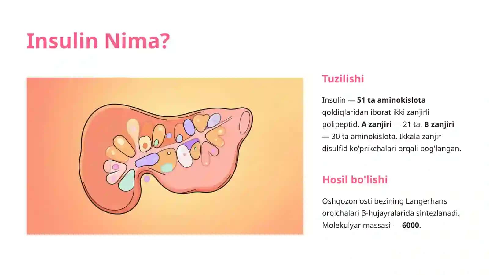 Insulin Ishlab Chiqarish Texnologiyasi 2