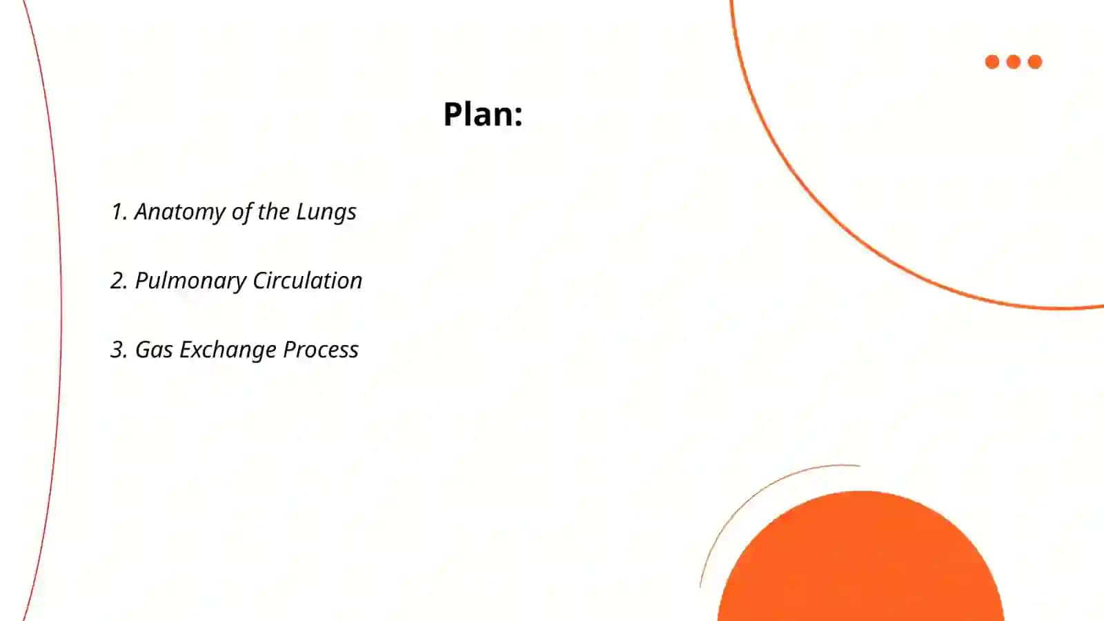 Lungs and a pulmonary system 2
