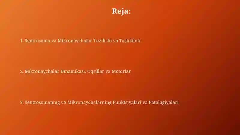 Sentrosoma va Mikronaychalar Tuzilishi 2