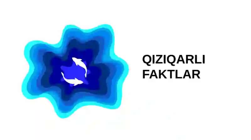 BOSHQOTIRMALAR VA UNING TURLARI 2