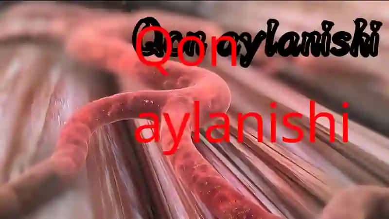 Qon aylanishi 2