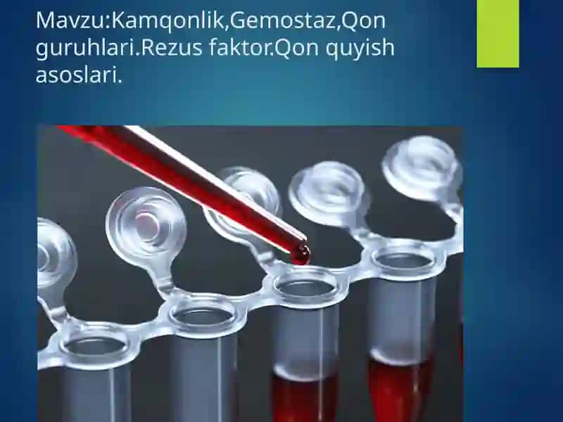 Kamqonlik,Gemostaz,Qon guruhlari.Rezus faktor.Qon quyish asoslari. 2