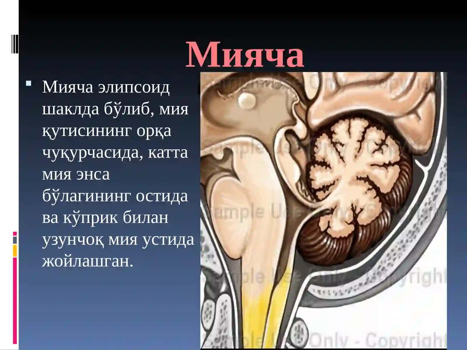 Мияча 2