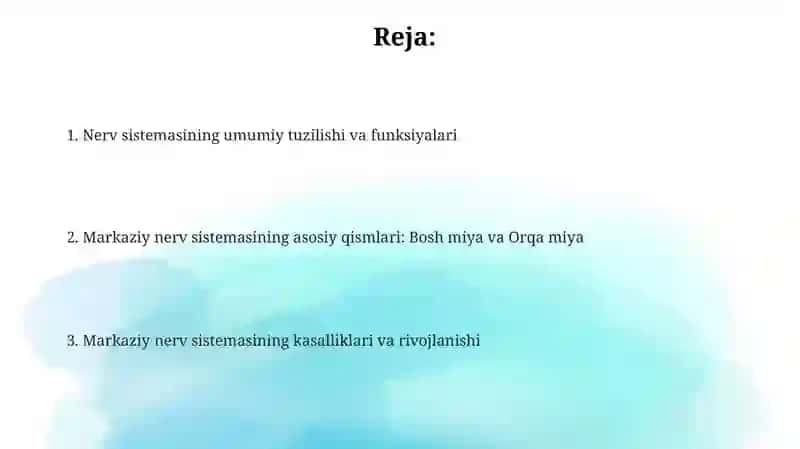Nerv sistemasining tuzilishi 2