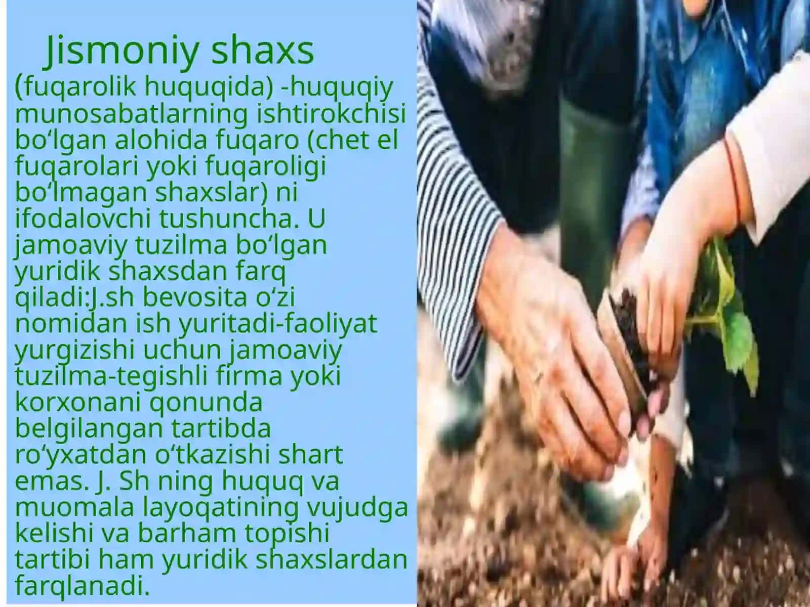 Jismoniy shaxslarning tadbirkorlik faoliyati 2