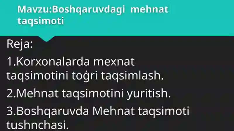 Boshqaruvdagi mehnat taqsimoti 2