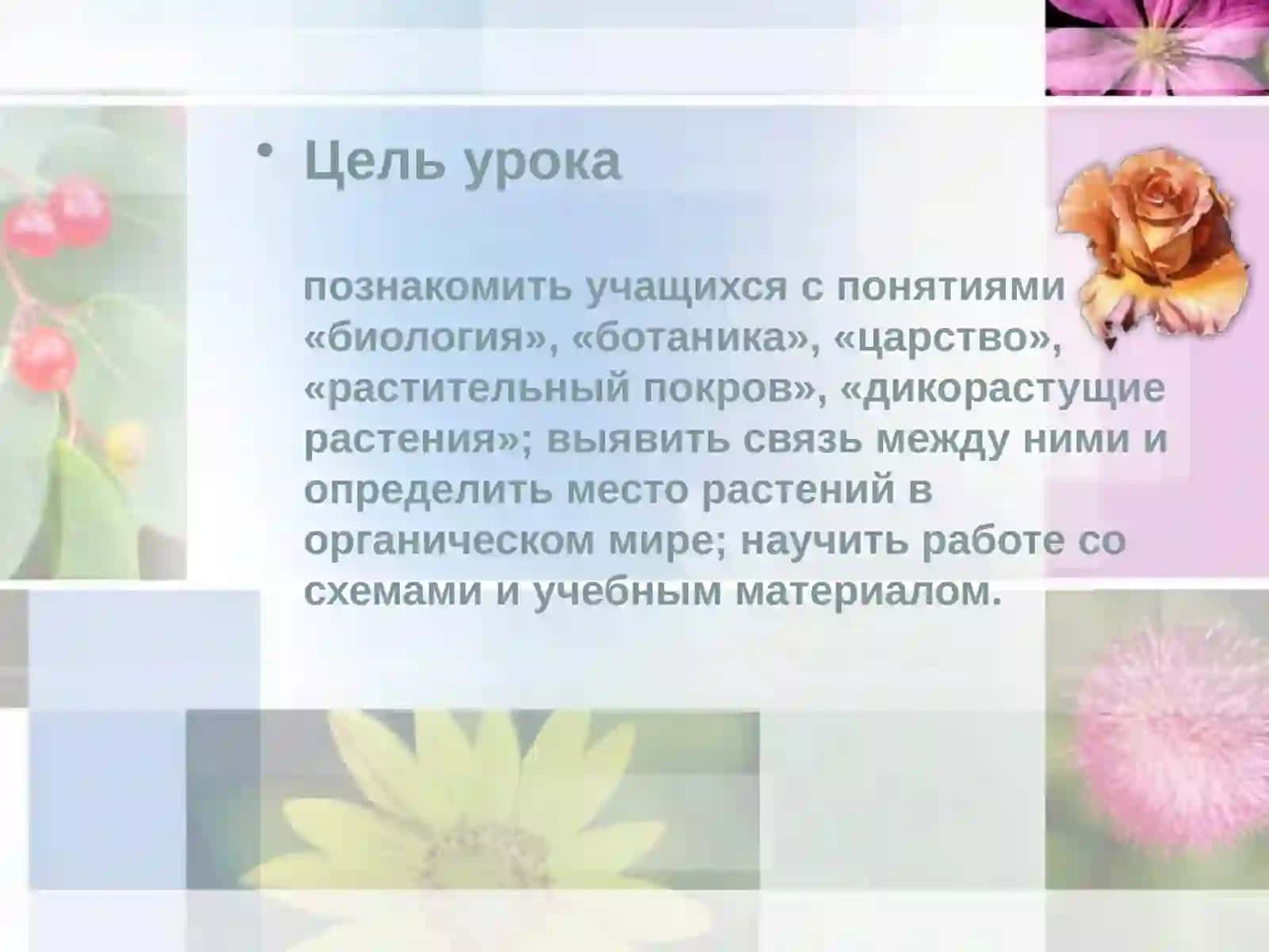 6-sinf Botanika dars ishlanma. Ботаника - наука о растениях 2