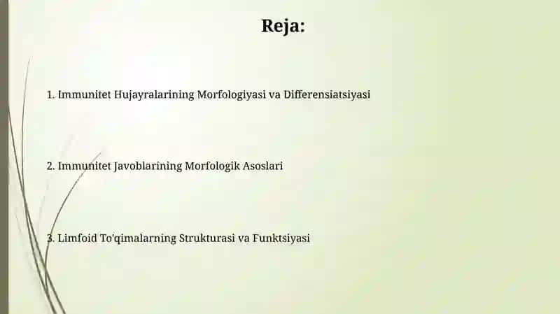 Limfoid to'qimalarning morfologiyasi 2