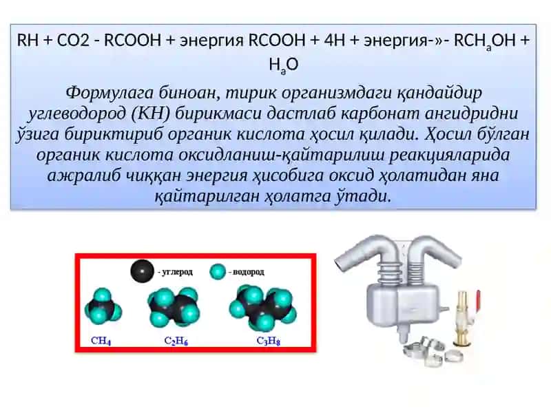 Карбонат ангидриднинг ўзлаштирилиши эволюцияси 2