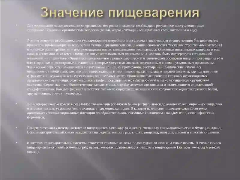 Пищеварение 2