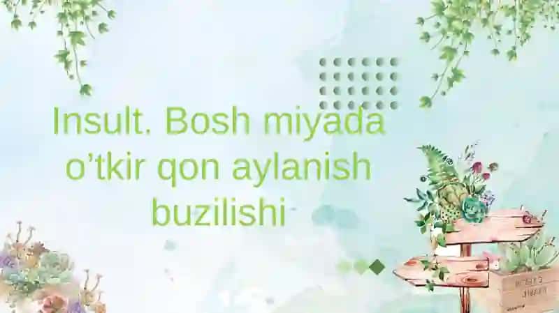 Insult,uningasosiysabablari 2