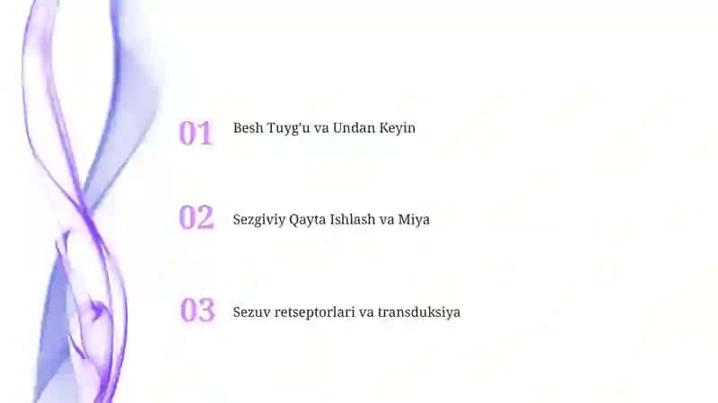 Bilish sezgi organlari 2