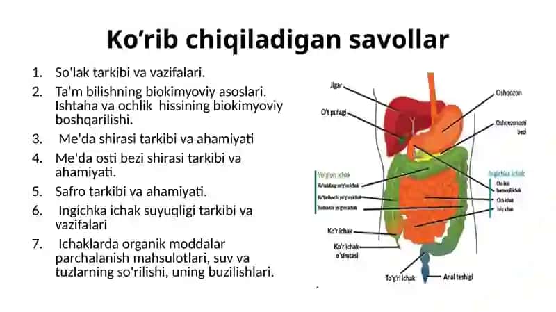 Oshqozon-ichak tizimi biokimyosi 2