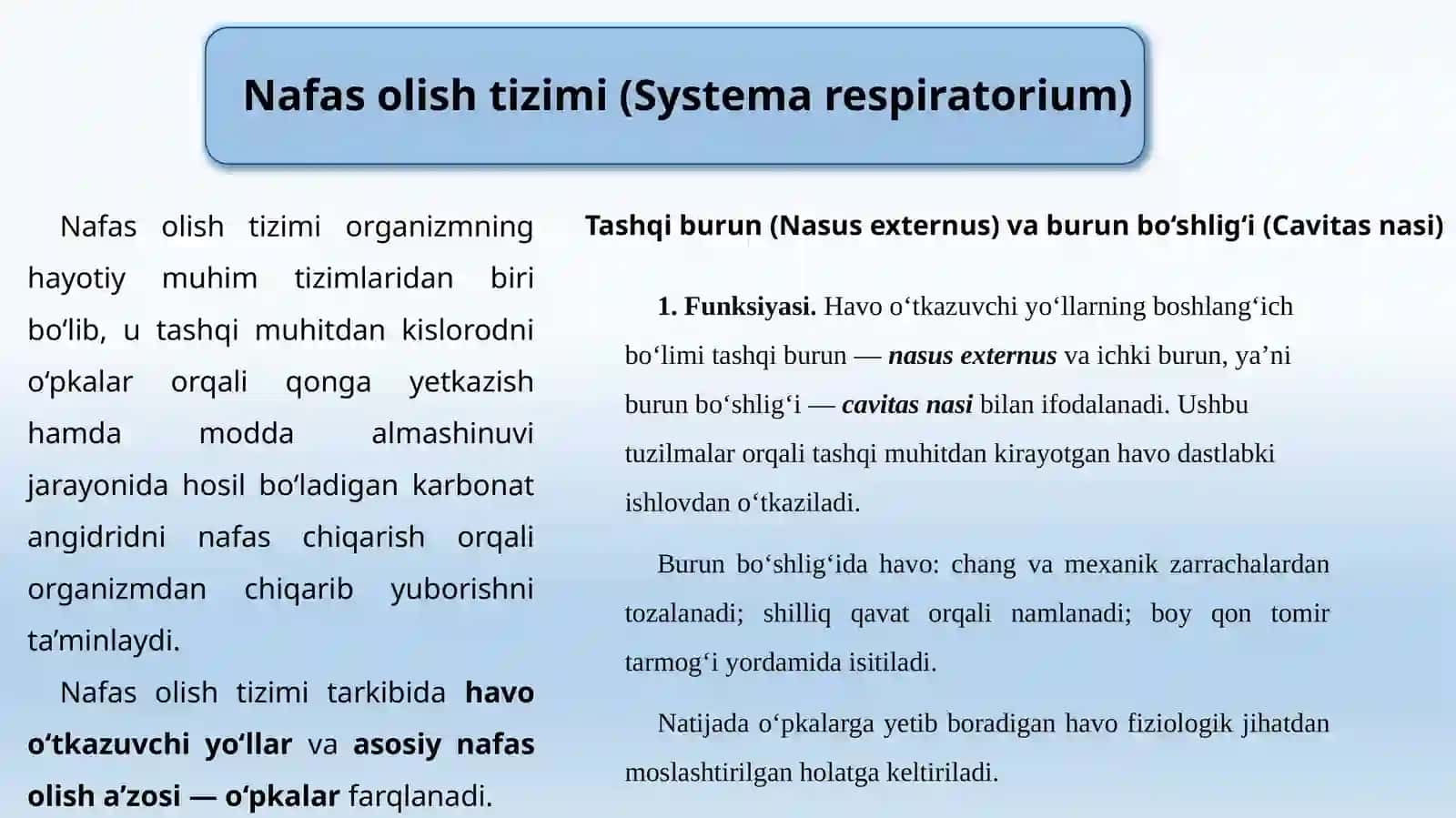 Nafasolisha’zolarining funksional va yoshga oid anatomiyasi 2