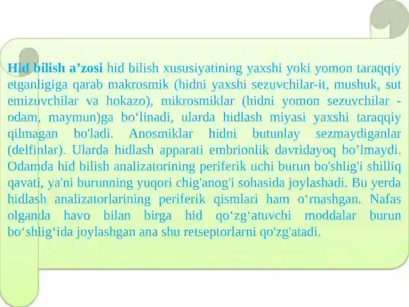 Hidbilish va ta'mbilish organlarini tuzilishi 2