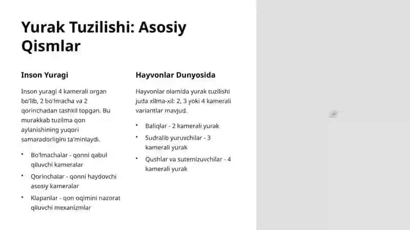Yurak Morfologik Variatsiyalari 2