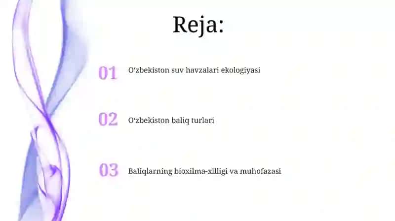 Orol dengizi va uning ekologik muammolari 2