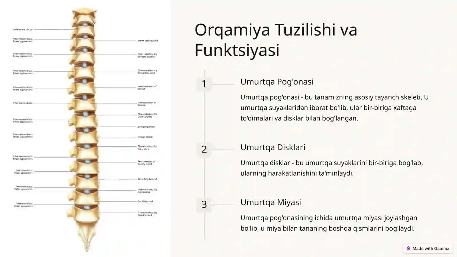 Orqamiya Degenerativ va Distrofik Kasalliklar 2
