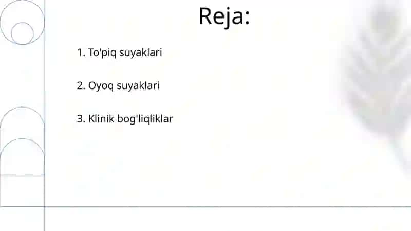 Oyoq suyaklari 2
