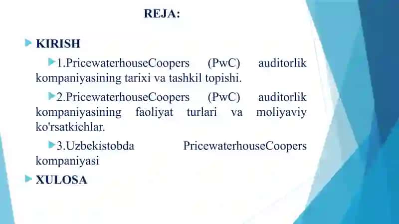 PRICEWATERHOUSECOOPERS (PWC) AUDITORLIK KOMPANIYASI 2