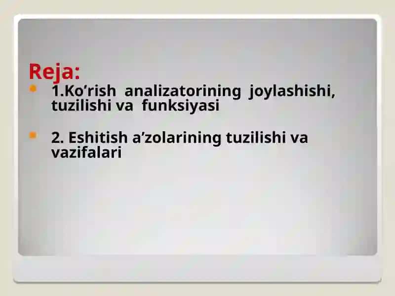 Sezgi a’zolari 2
