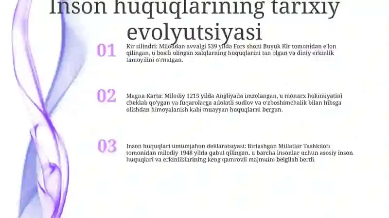 Inson Huqlari 2