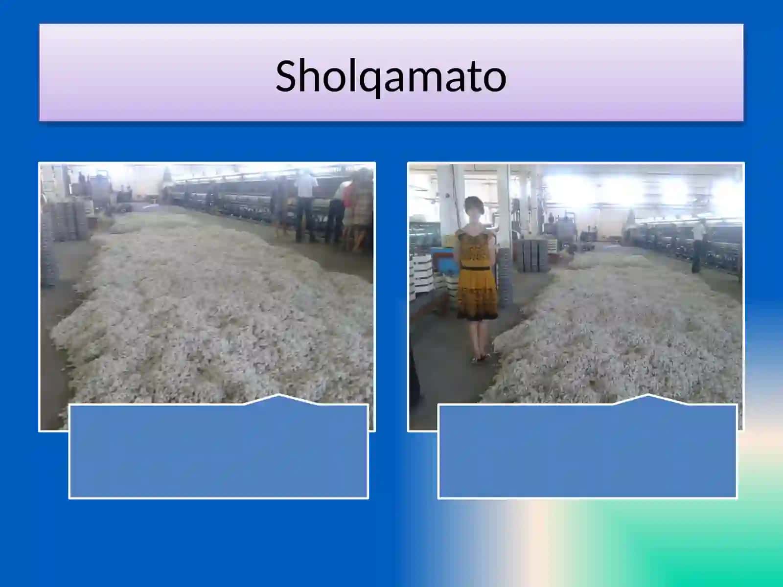 Sholqamato 2