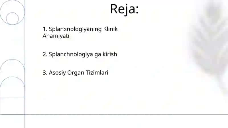 Splanxnologiya asoslari 2