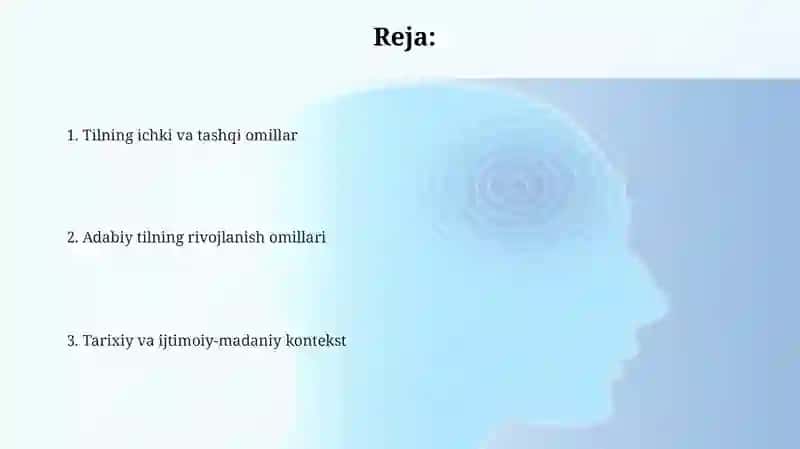 Adabiy tilni rivojlantiruvchi omillar 2